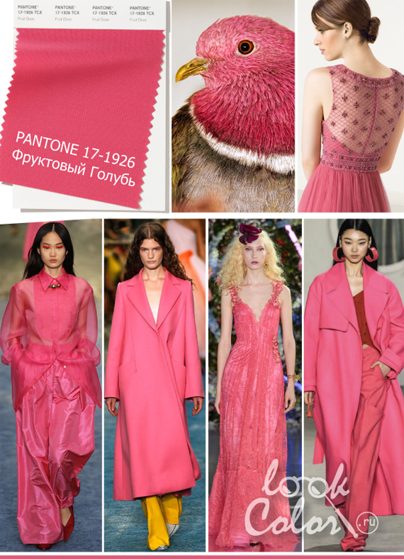 Модный розовый PANTONE 17-1926 Фруктовый Голубь Fruit_Dove